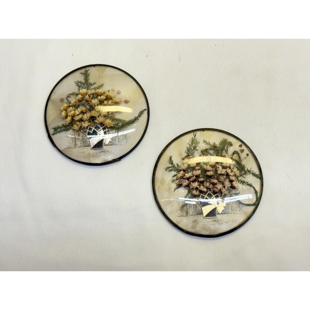 VTG Peter Watsons Studio Dried Flower Bubble Glass Convex Round Wall Art 3.5"